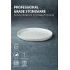 imagefamiware Dinner Plates Set of 6 1025 inch Pasta Plate Ocean Round Stoneware Dessert Plates Dish Set for Kitchen Microwave Dishwasher Safe Scratch Resistant BlueWhite
