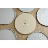 imagefamiware Dinner Plates Set of 6 1025 inch Pasta Plate Ocean Round Stoneware Dessert Plates Dish Set for Kitchen Microwave Dishwasher Safe Scratch Resistant BlueLight Gray