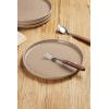 imagefamiware Dinner Plates Set of 6 1025 inch Pasta Plate Ocean Round Stoneware Dessert Plates Dish Set for Kitchen Microwave Dishwasher Safe Scratch Resistant BlueCinnamon Brown