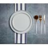 imagefamiware Dinner Plates Set of 6 1025 inch Pasta Plate Ocean Round Stoneware Dessert Plates Dish Set for Kitchen Microwave Dishwasher Safe Scratch Resistant BlueLight Gray