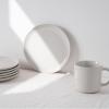 imagefamiware Dinner Plates Set of 6 1025 inch Pasta Plate Ocean Round Stoneware Dessert Plates Dish Set for Kitchen Microwave Dishwasher Safe Scratch Resistant BlueWhite
