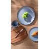 imagefamiware Dinner Plates Set of 6 1025 inch Pasta Plate Ocean Round Stoneware Dessert Plates Dish Set for Kitchen Microwave Dishwasher Safe Scratch Resistant BlueBlue
