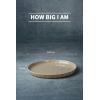 imagefamiware Dinner Plates Set of 6 1025 inch Pasta Plate Ocean Round Stoneware Dessert Plates Dish Set for Kitchen Microwave Dishwasher Safe Scratch Resistant BlueCinnamon Brown