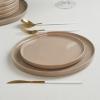 imagefamiware Dinner Plates Set of 6 1025 inch Pasta Plate Ocean Round Stoneware Dessert Plates Dish Set for Kitchen Microwave Dishwasher Safe Scratch Resistant BlueCinnamon Brown