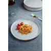 imagefamiware Dinner Plates Set of 6 1025 inch Pasta Plate Ocean Round Stoneware Dessert Plates Dish Set for Kitchen Microwave Dishwasher Safe Scratch Resistant BlueLight Gray