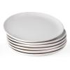 imagefamiware Dinner Plates Set of 6 1025 inch Pasta Plate Ocean Round Stoneware Dessert Plates Dish Set for Kitchen Microwave Dishwasher Safe Scratch Resistant BlueWhite