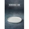 imagefamiware Dinner Plates Set of 6 1025 inch Pasta Plate Ocean Round Stoneware Dessert Plates Dish Set for Kitchen Microwave Dishwasher Safe Scratch Resistant BlueWhite