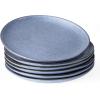 imagefamiware Dinner Plates Set of 6 1025 inch Pasta Plate Ocean Round Stoneware Dessert Plates Dish Set for Kitchen Microwave Dishwasher Safe Scratch Resistant BlueBlue