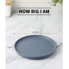 imagefamiware Milkyway Dinner Plates 1024 inch Plates for 6 Stoneware Dessert Plates Dish Set for Kitchen Reactive Glaze Plate Set Microwave and Dishwasher Safe Light PinkMatte Charcoal