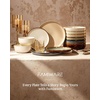 image:imageFamiware Milkyway Stoneware Dinnerware Set 12Piece Double Reactive Glaze Plates and Bowls Service for 4 Microwave and Dishwasher Safe ScratchResistant Moss Green amp CocoaGreenish Brown